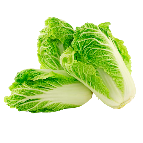Chiness Cabbage